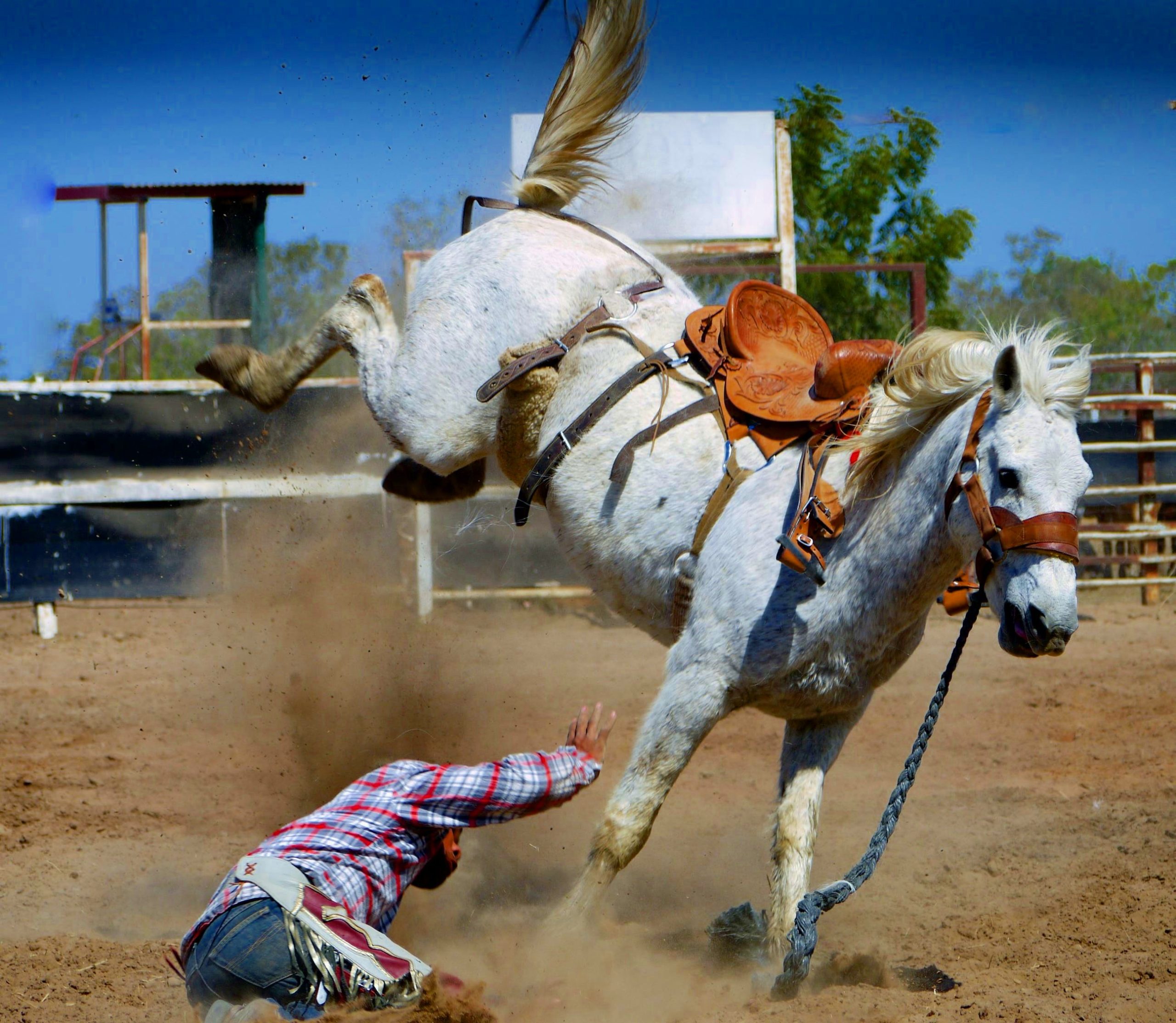 Falling off the horse